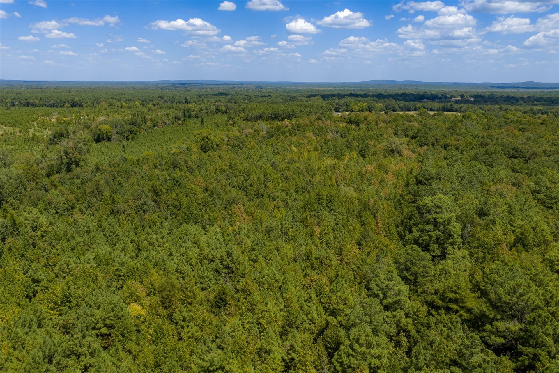 21.2 acres in Cherokee County - photo 31