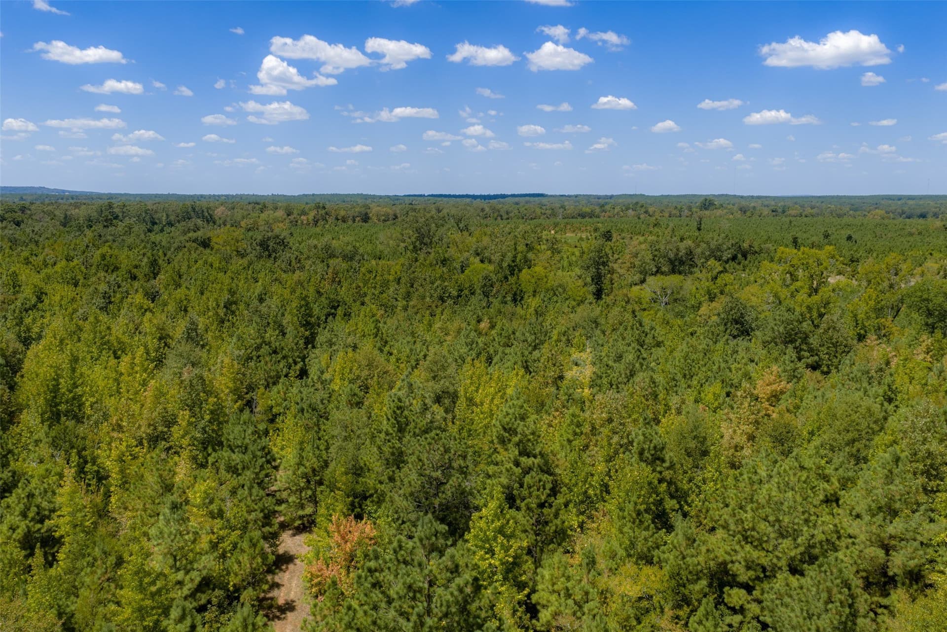 21.2 acres in Cherokee County - photo 20