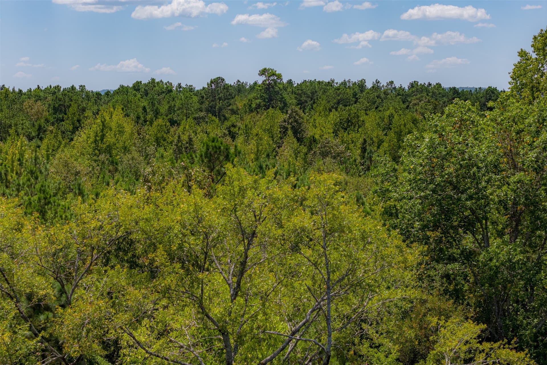 21.2 acres in Cherokee County - photo 30