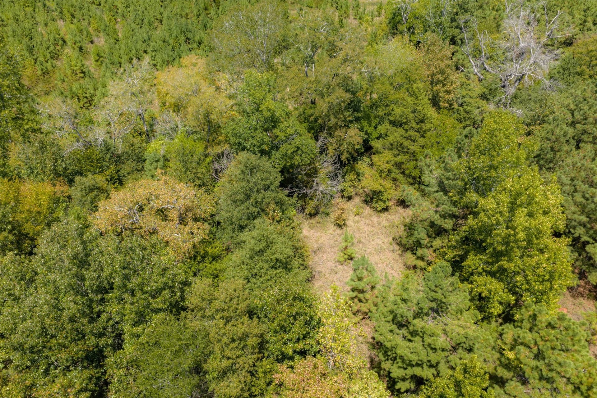 21.2 acres in Cherokee County - photo 29
