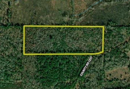 21.2 acres in Cherokee County - photo 38