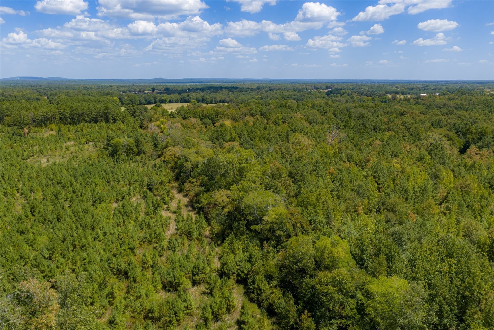 21.2 acres in Cherokee County