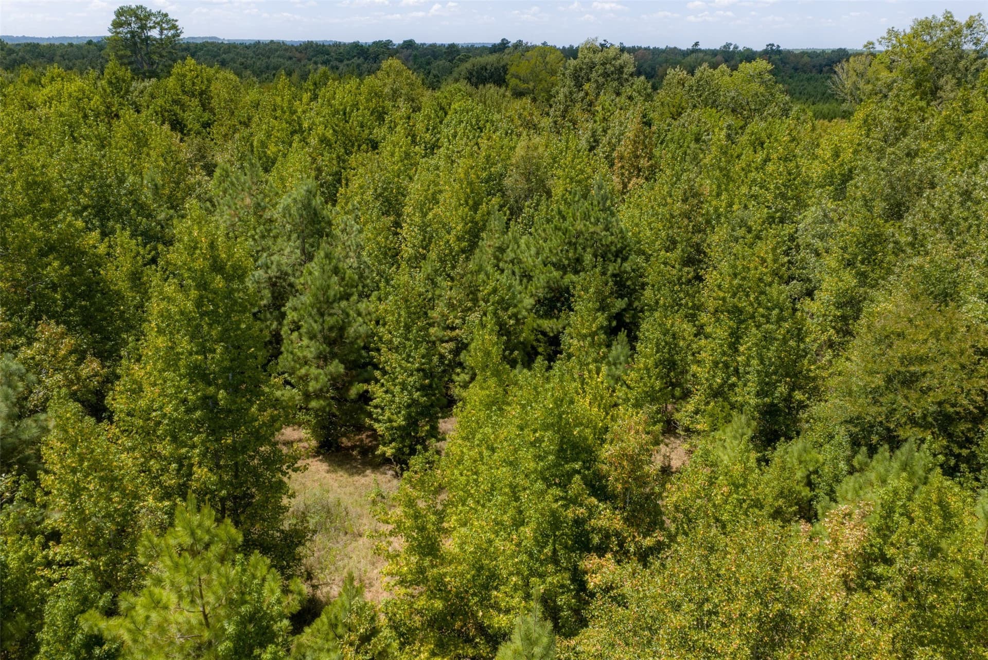 21.2 acres in Cherokee County - photo 12