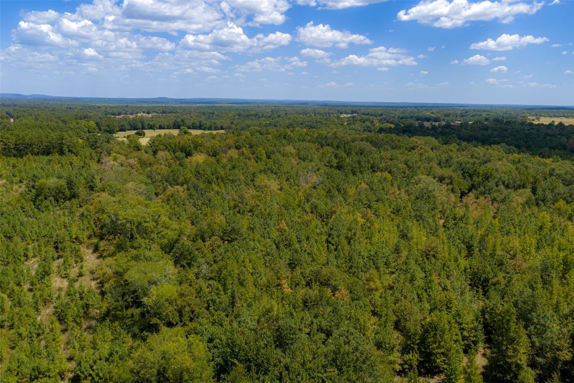 21.2 acres in Cherokee County - photo 35