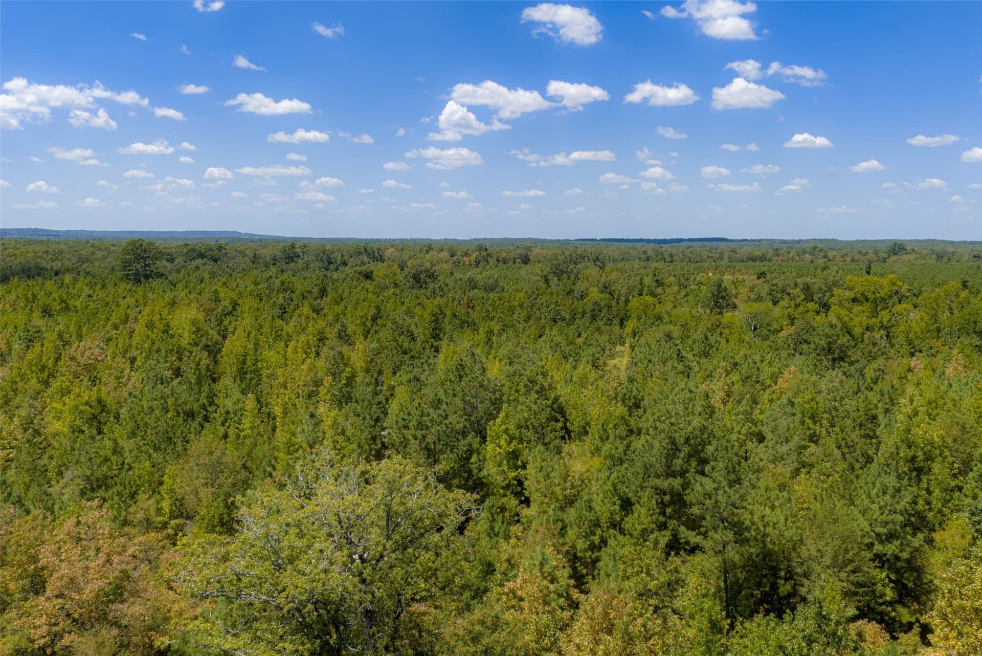 21.2 acres in Cherokee County - photo 24