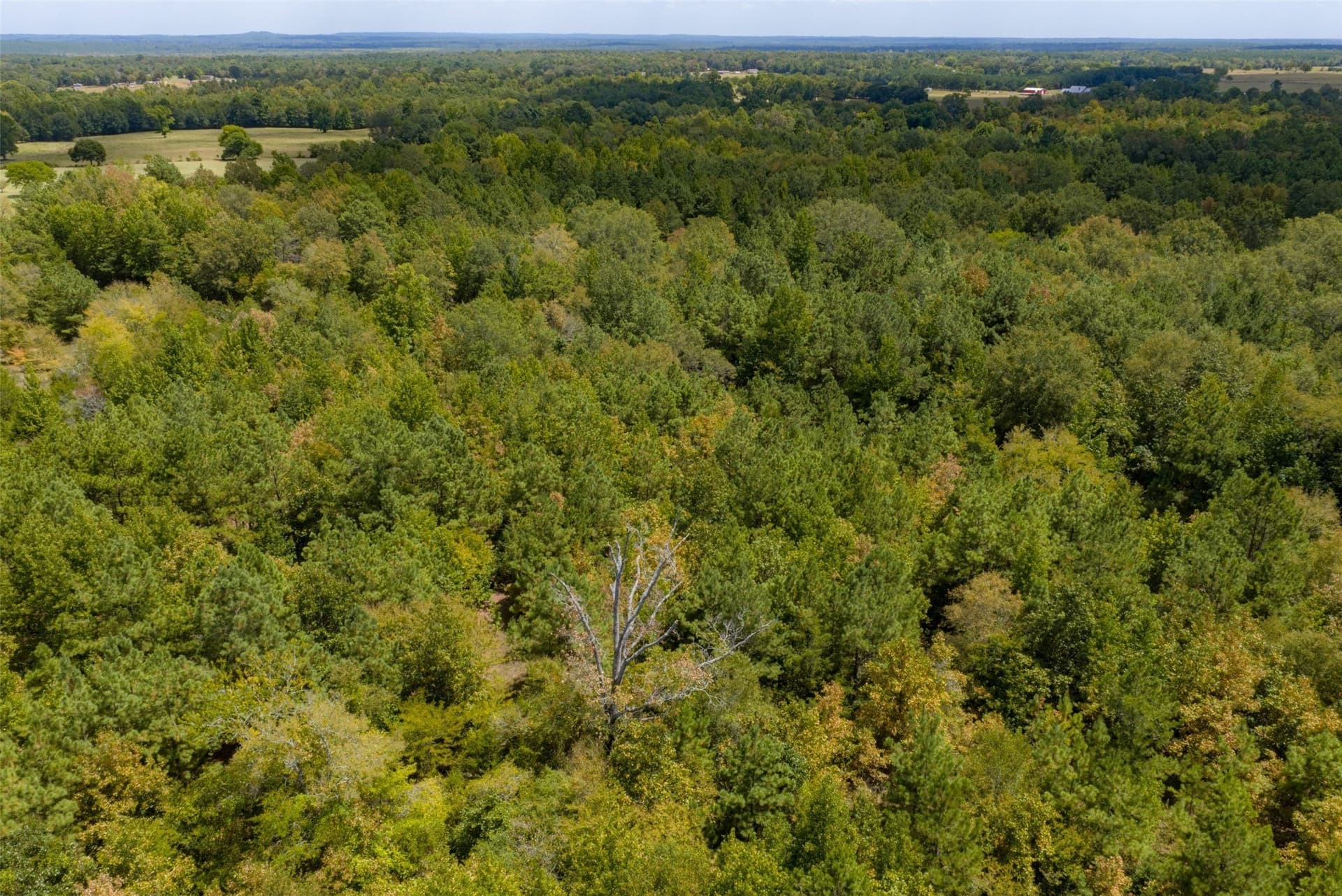 21.2 acres in Cherokee County - photo 13