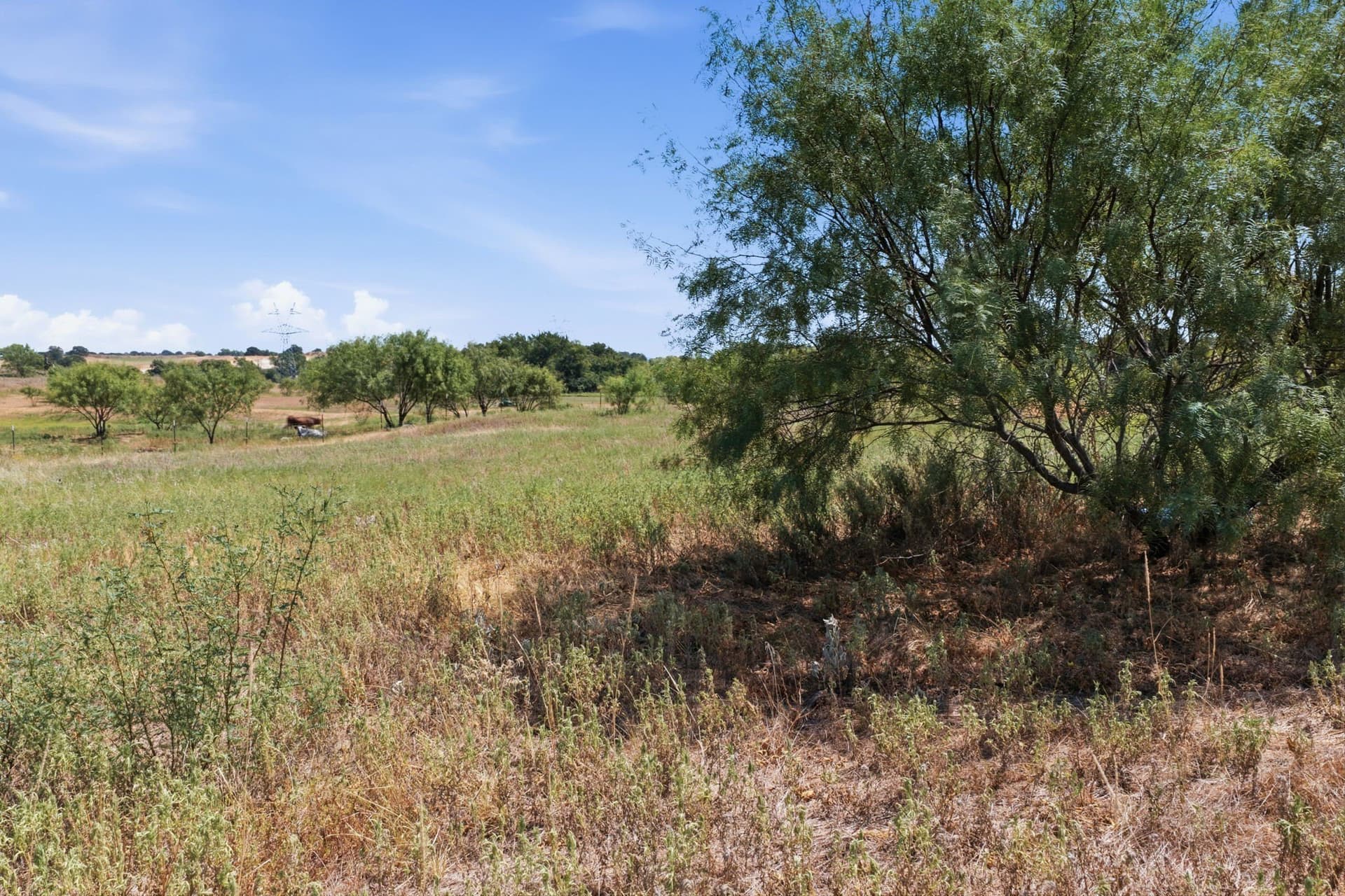 10.29 acres in Wise County - photo 25