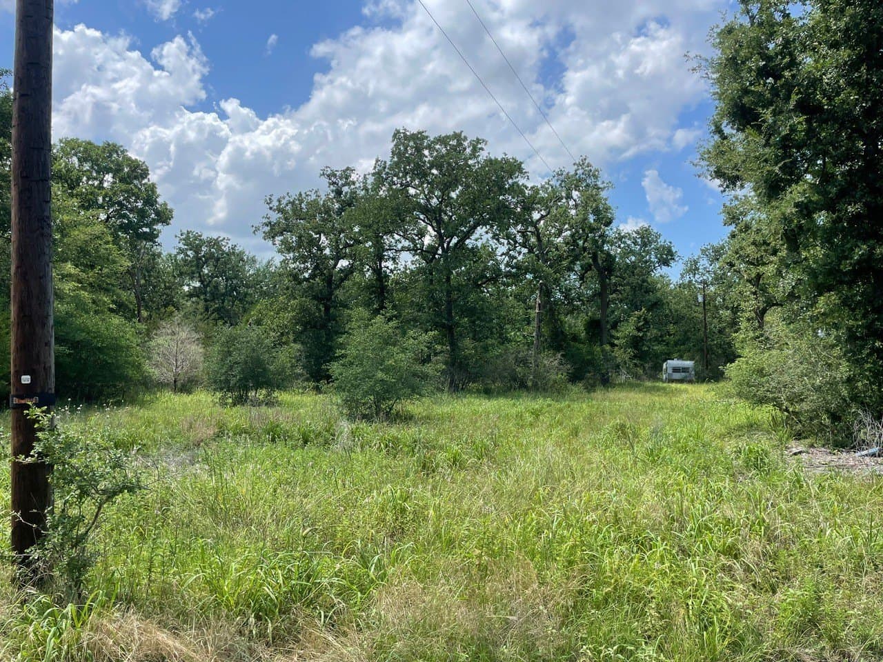 0.79 acres in Limestone County - photo 2