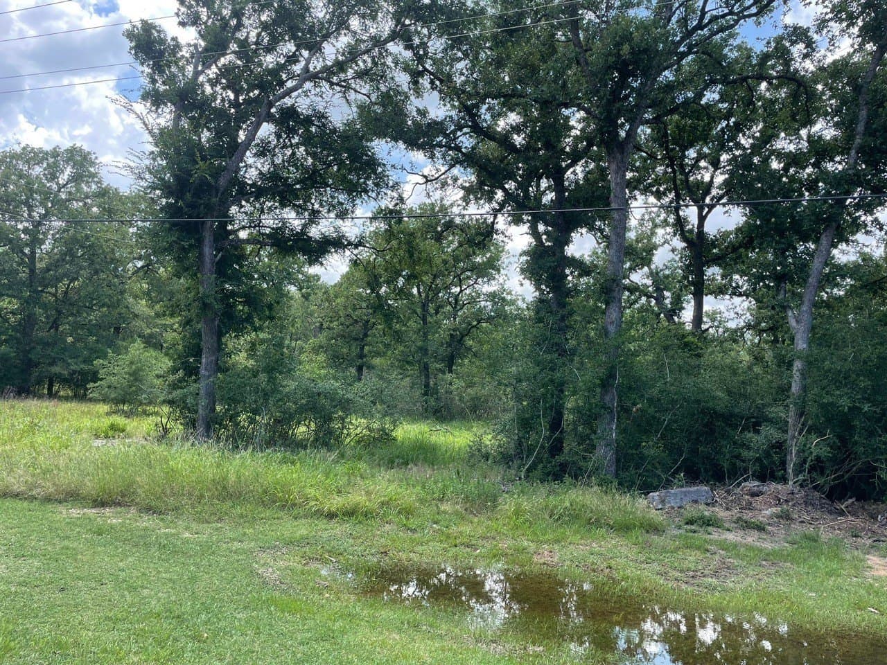 0.79 acres in Limestone County