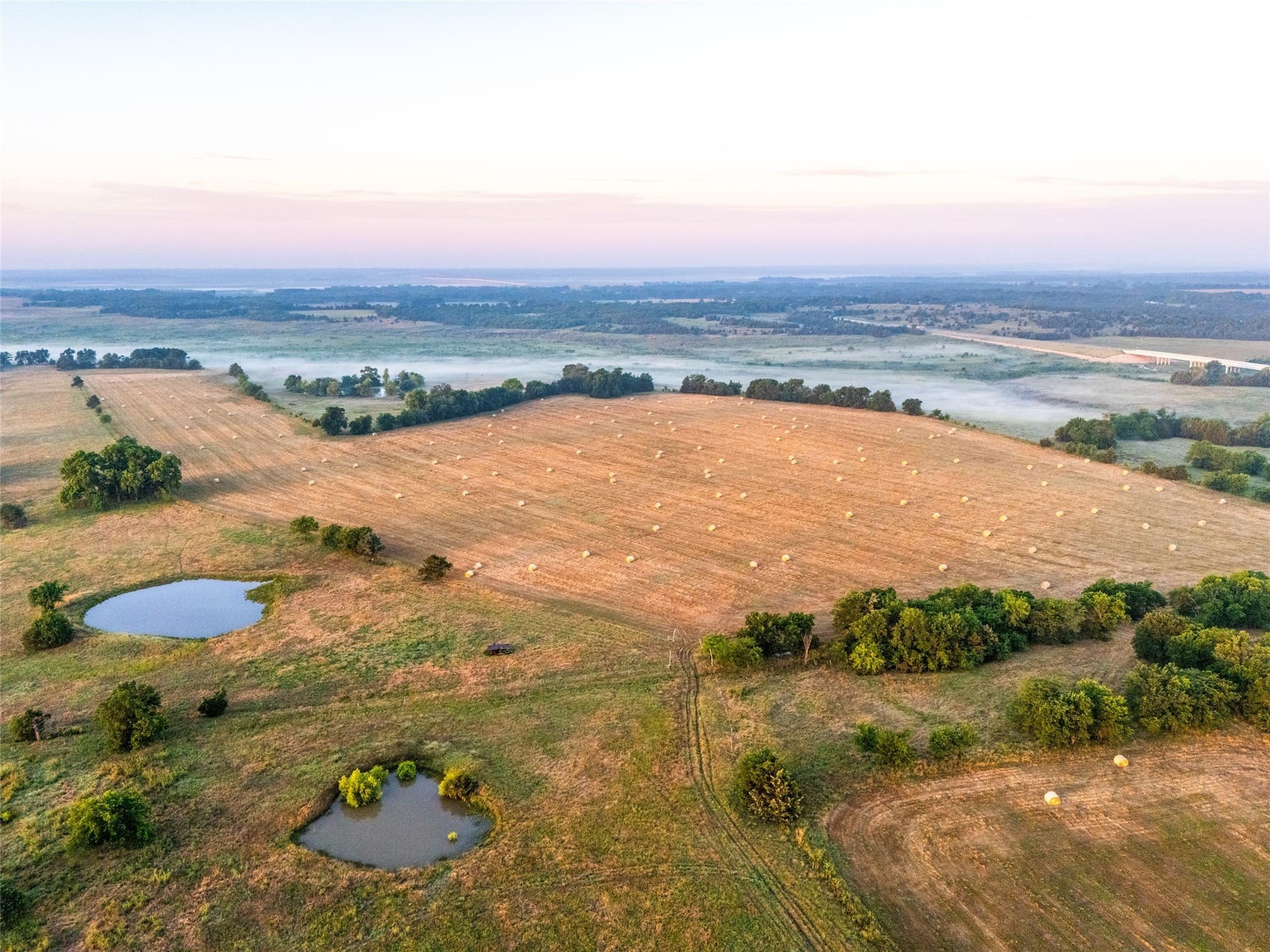 116.53 acres in Fannin County - photo 9