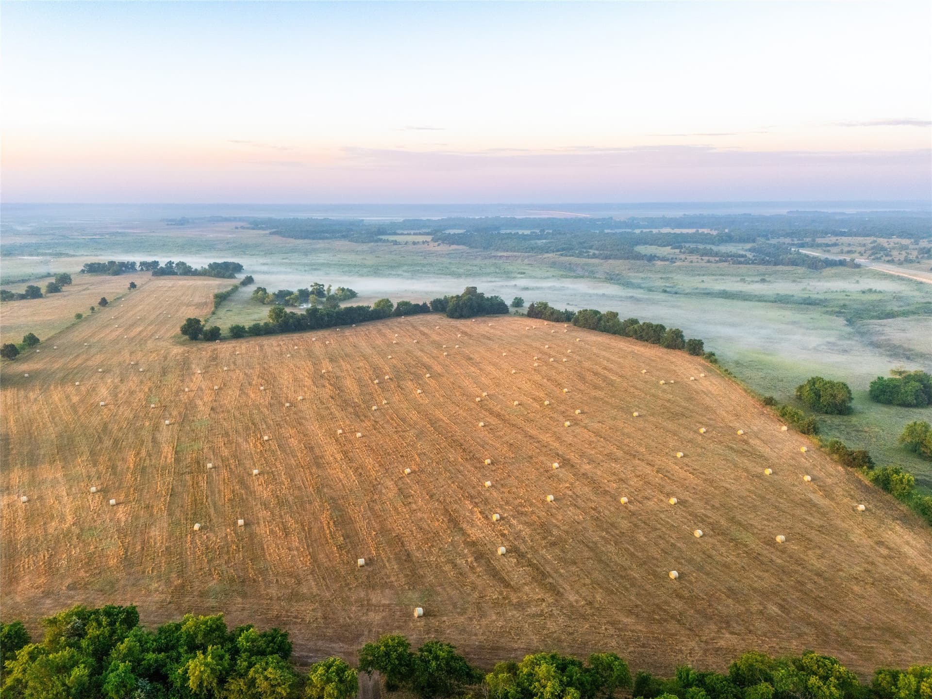 116.53 acres in Fannin County gallery image 4