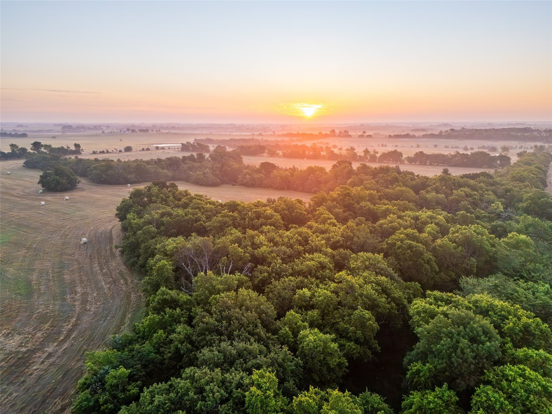 116.53 acres in Fannin County - photo 10