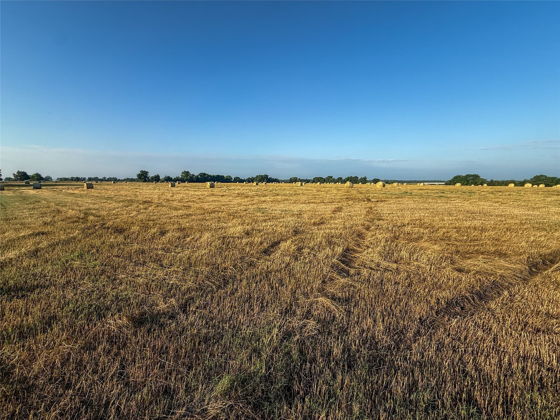 116.53 acres in Fannin County - photo 21