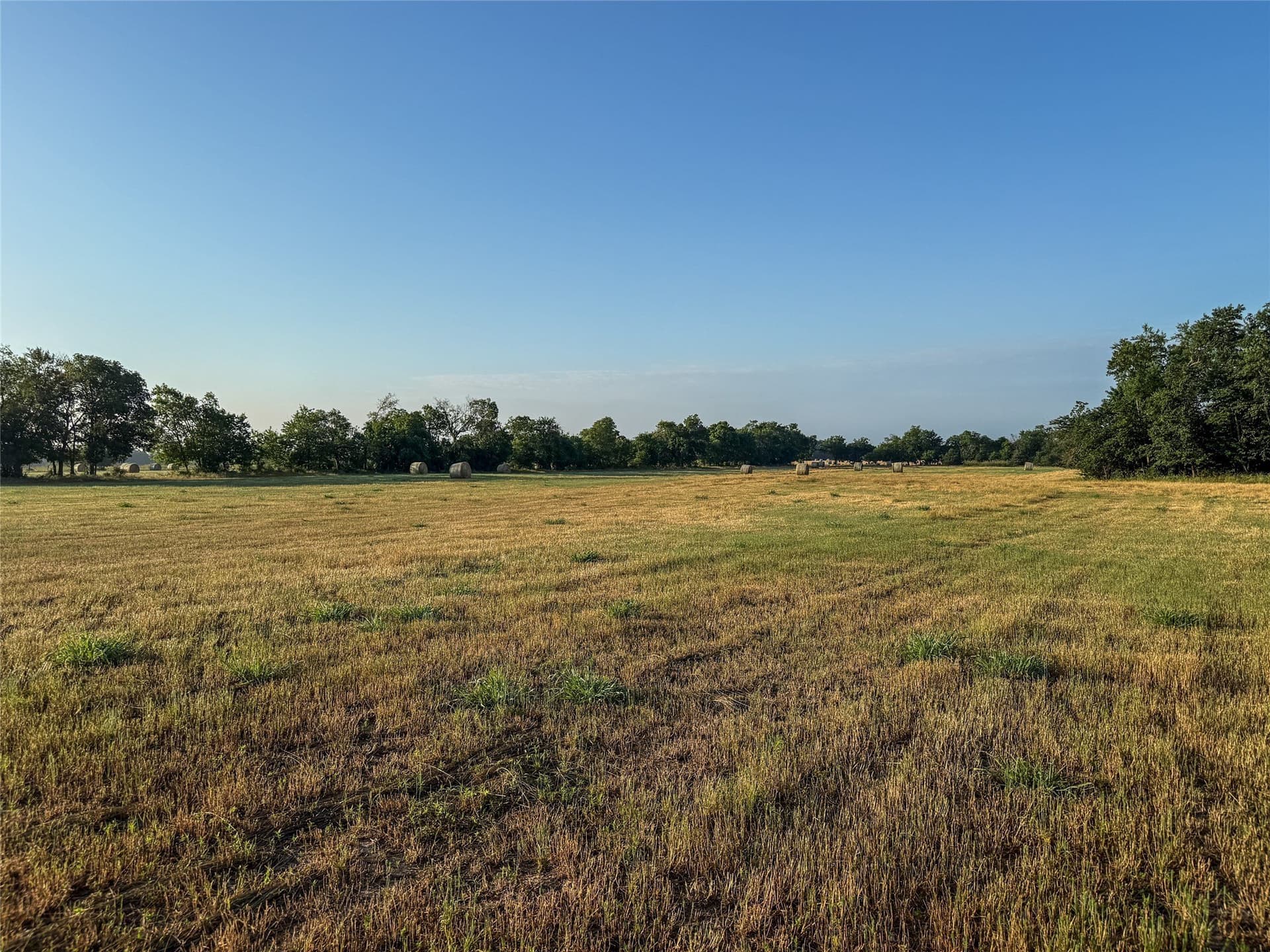 116.53 acres in Fannin County - photo 19