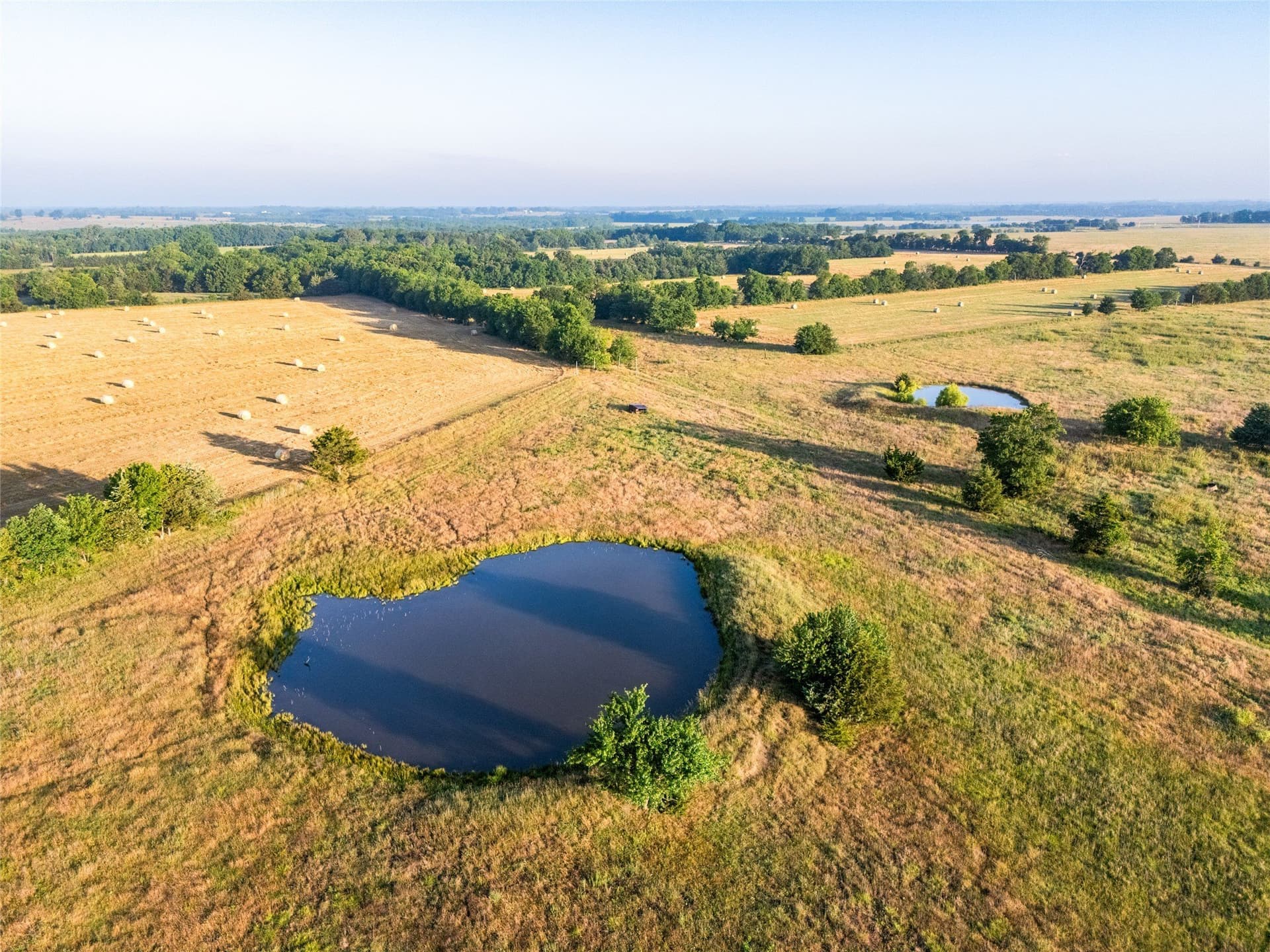 116.53 acres in Fannin County - photo 17