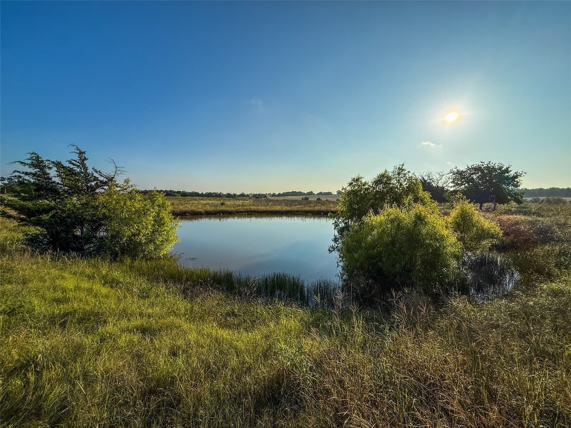 116.53 acres in Fannin County - photo 22