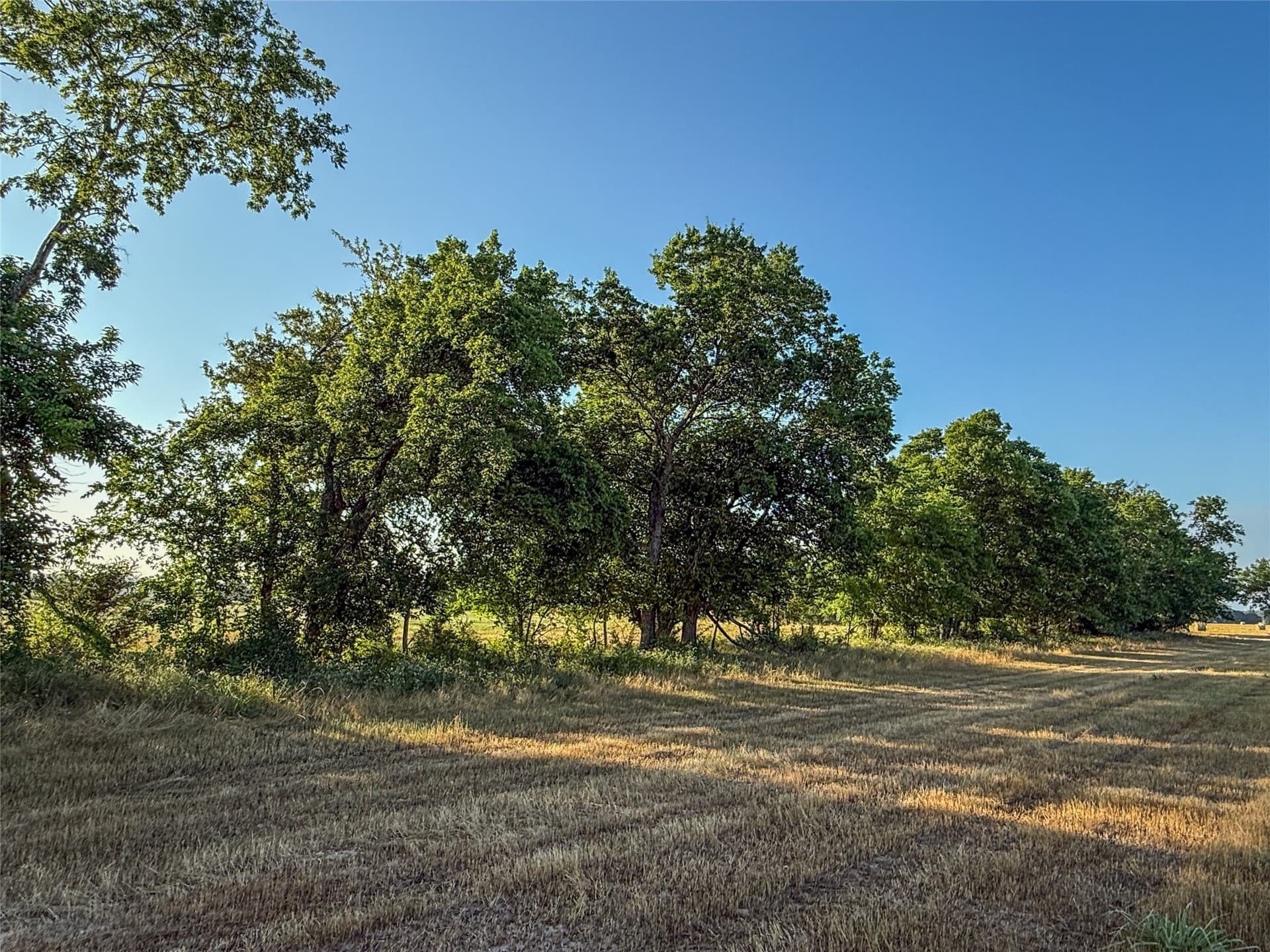 116.53 acres in Fannin County - photo 20