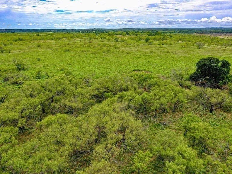 48.5 acres in Jack County gallery image 3