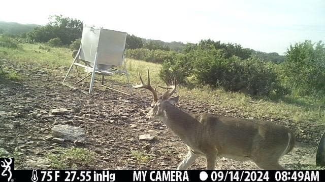 81 acres in Kerr County - photo 15