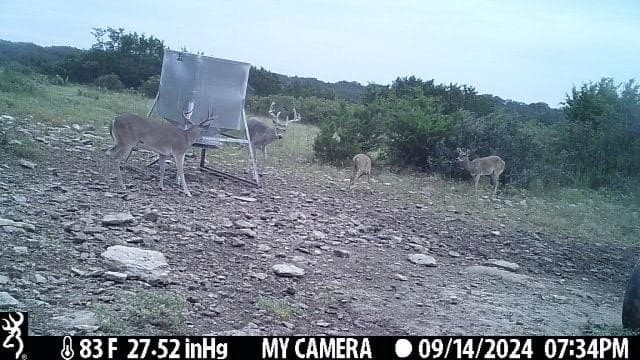 81 acres in Kerr County - photo 12
