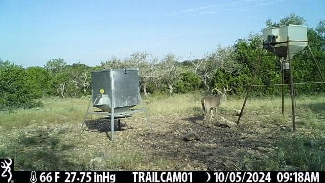 81 acres in Kerr County - photo 18