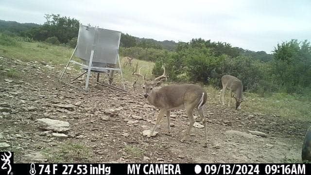 81 acres in Kerr County - photo 16