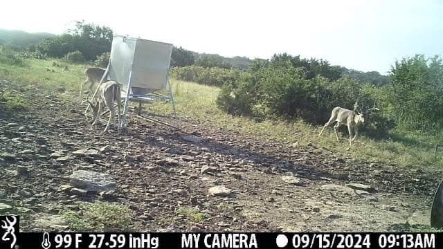 81 acres in Kerr County - photo 10