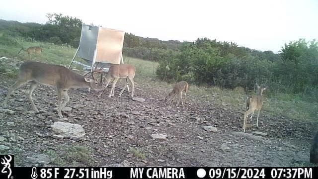 81 acres in Kerr County - photo 11