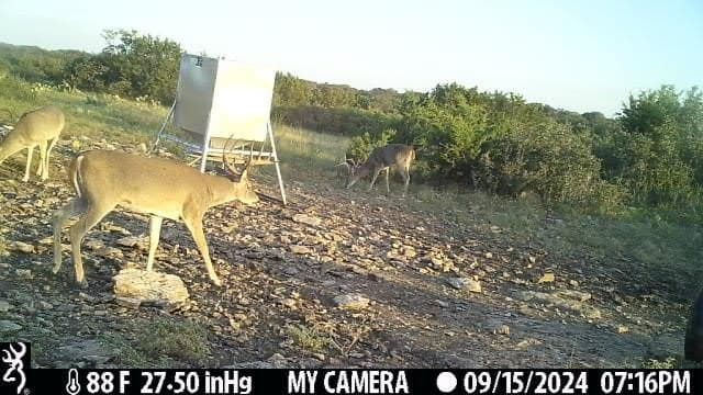 81 acres in Kerr County - photo 13