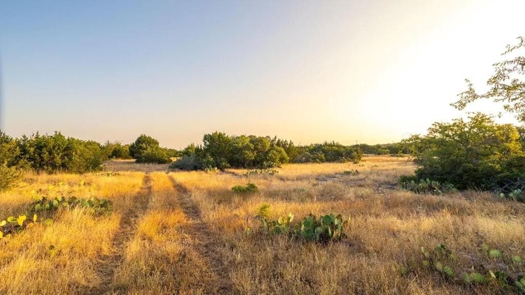 81 acres in Kerr County gallery image 3