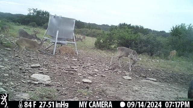 81 acres in Kerr County - photo 14