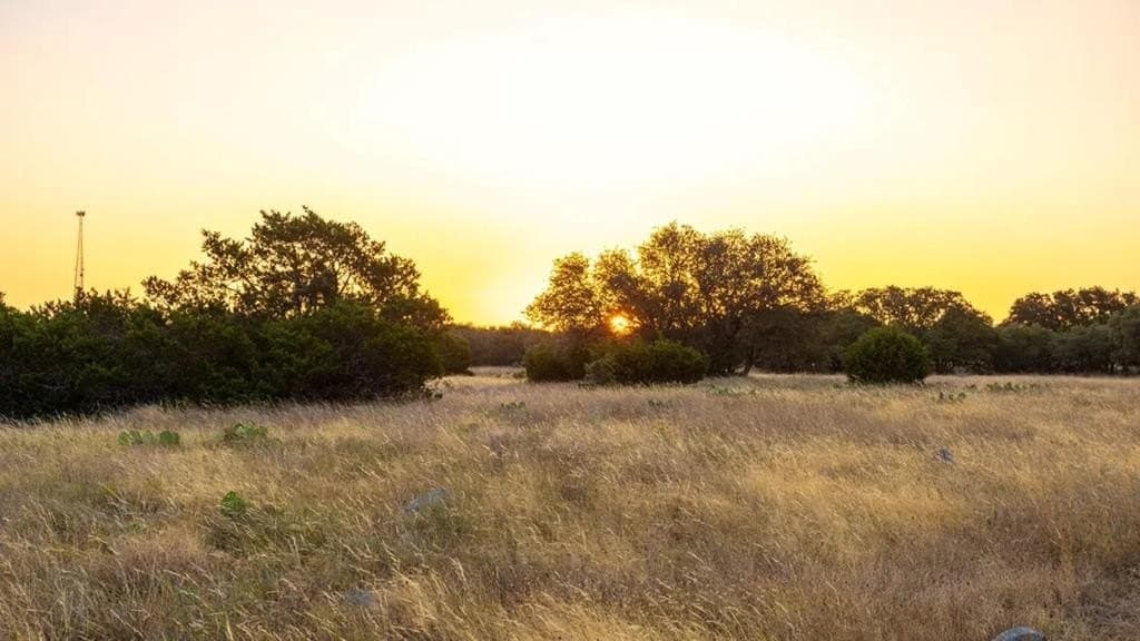 81 acres in Kerr County - photo 8