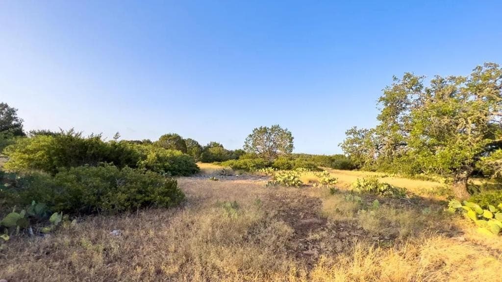 81 acres in Kerr County - photo 9