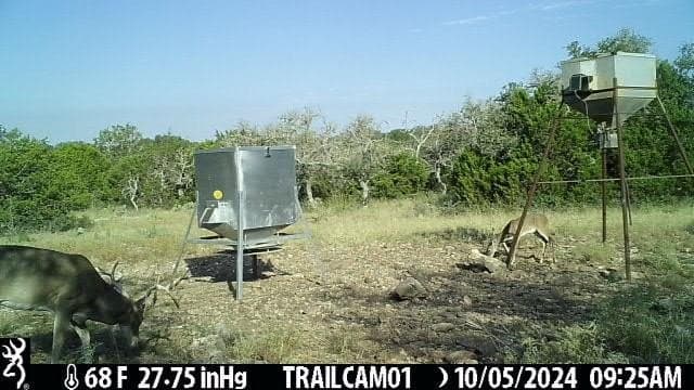81 acres in Kerr County - photo 17