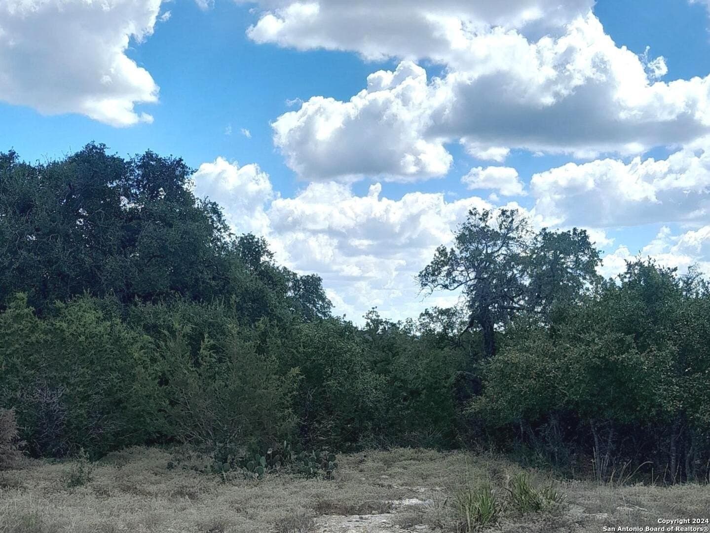 0.28 acres in Blanco County - photo 4