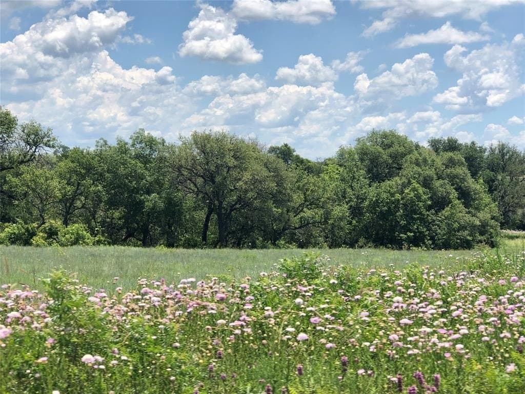 5 acres in Comanche County gallery image 2