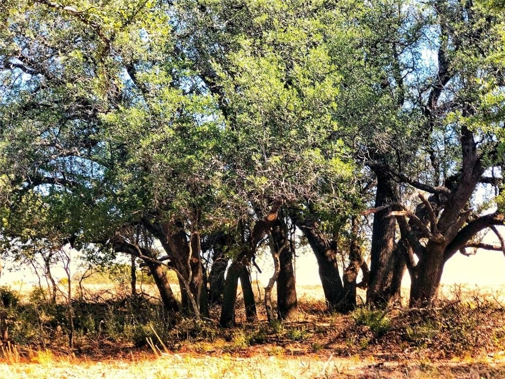 5 acres in Comanche County