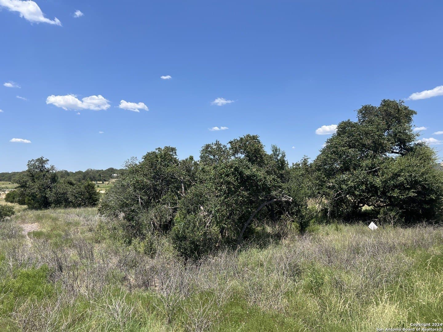 1.01 acres in Comal County - photo 4