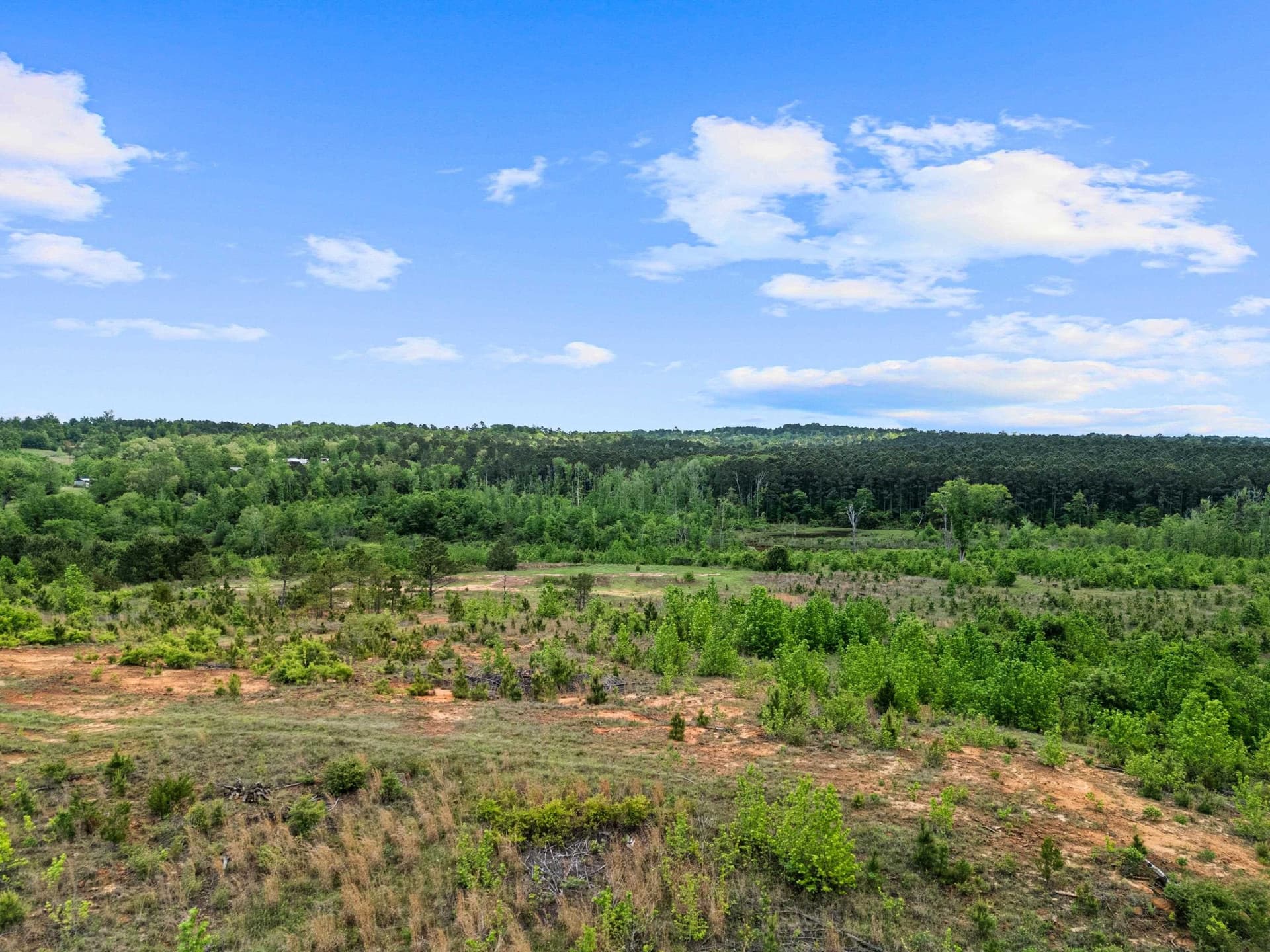 145.05 acres in Marion County gallery image 4