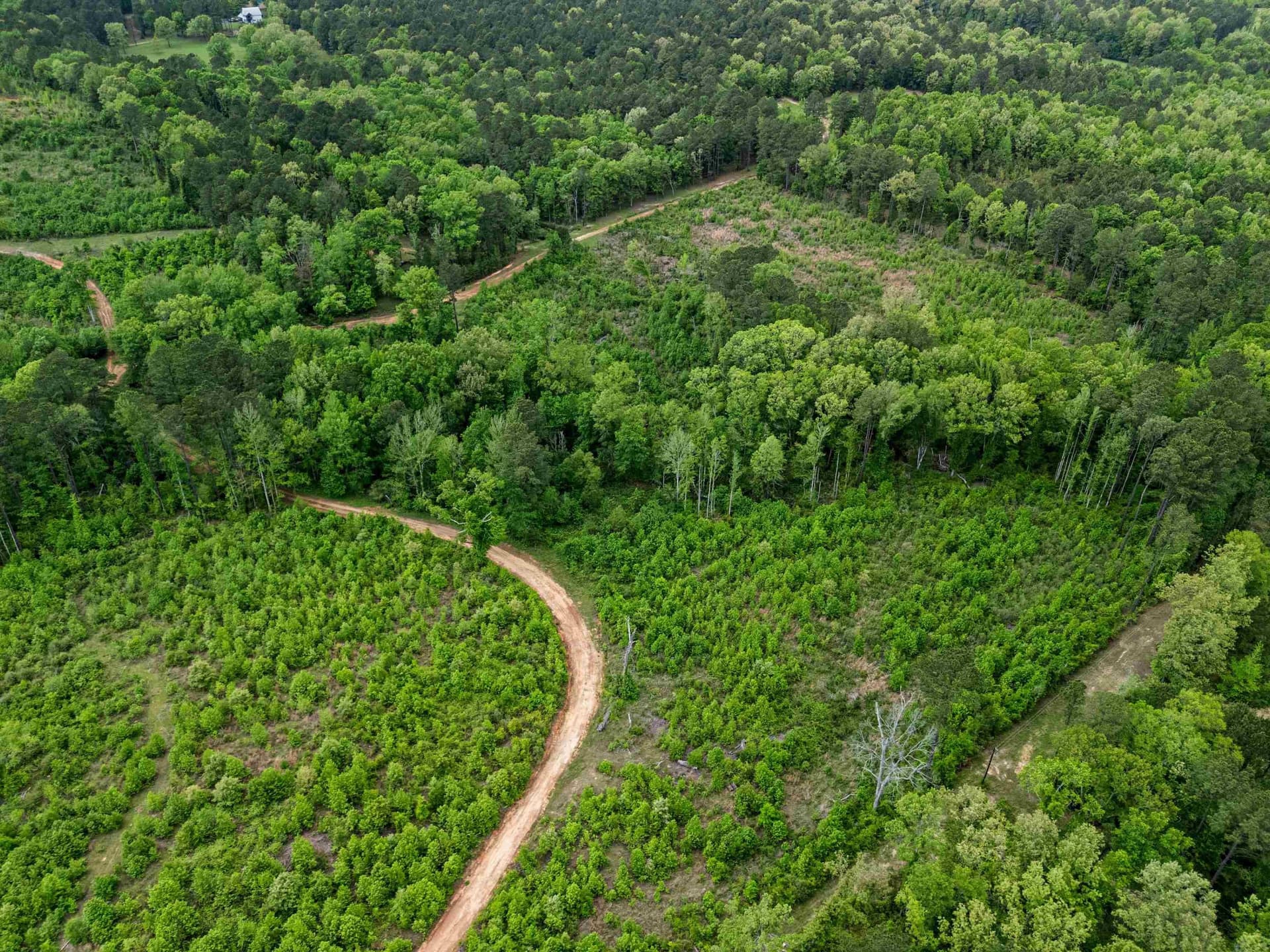 145.05 acres in Marion County