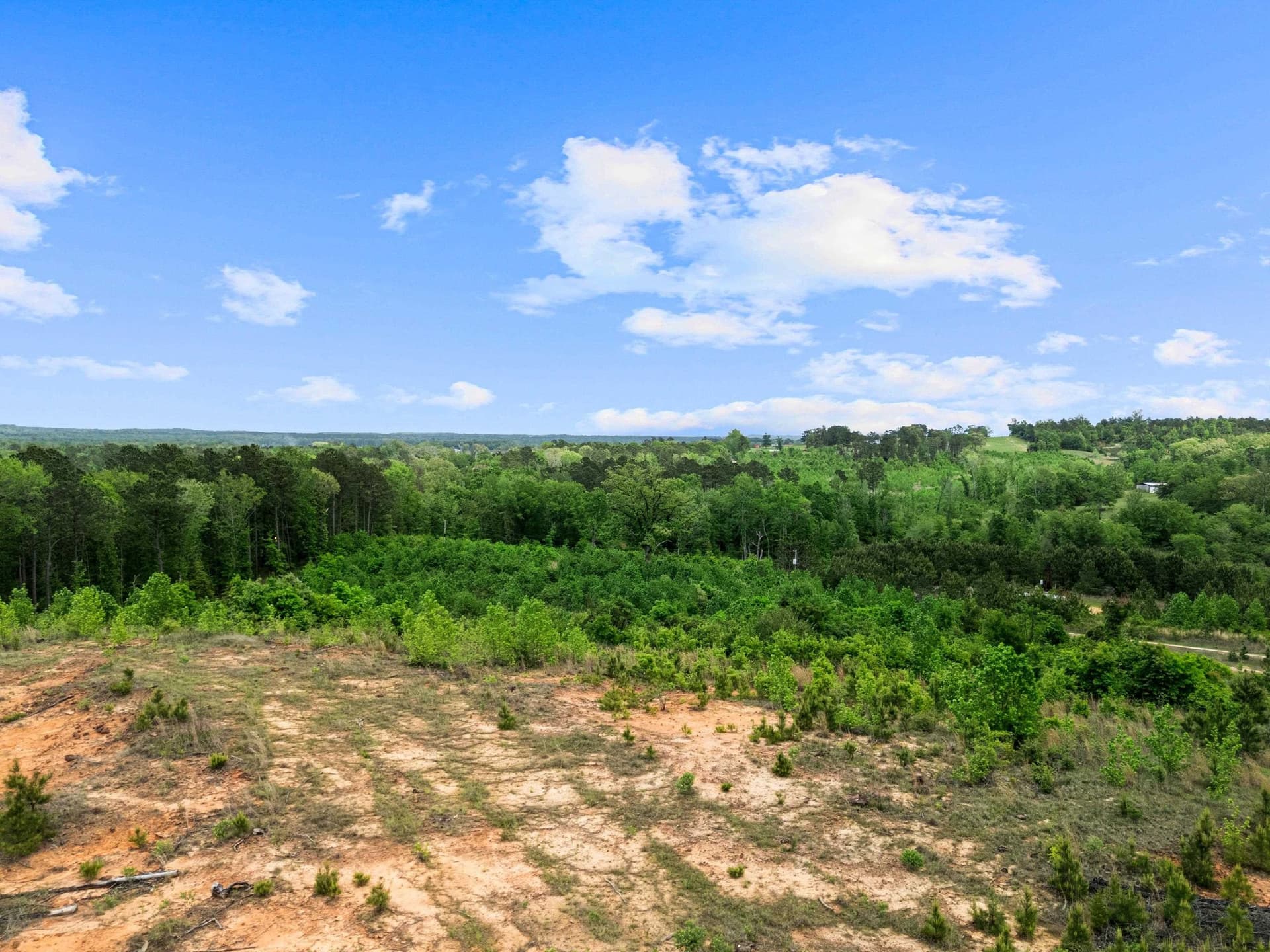 145.05 acres in Marion County featured view