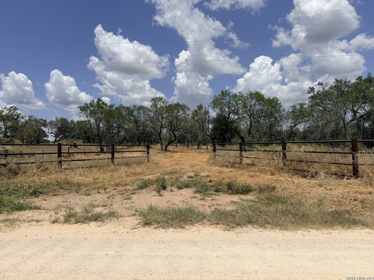 11.03 acres in Atascosa County - photo 14