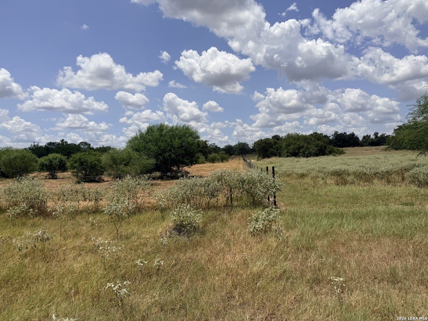 11.03 acres in Atascosa County - photo 18