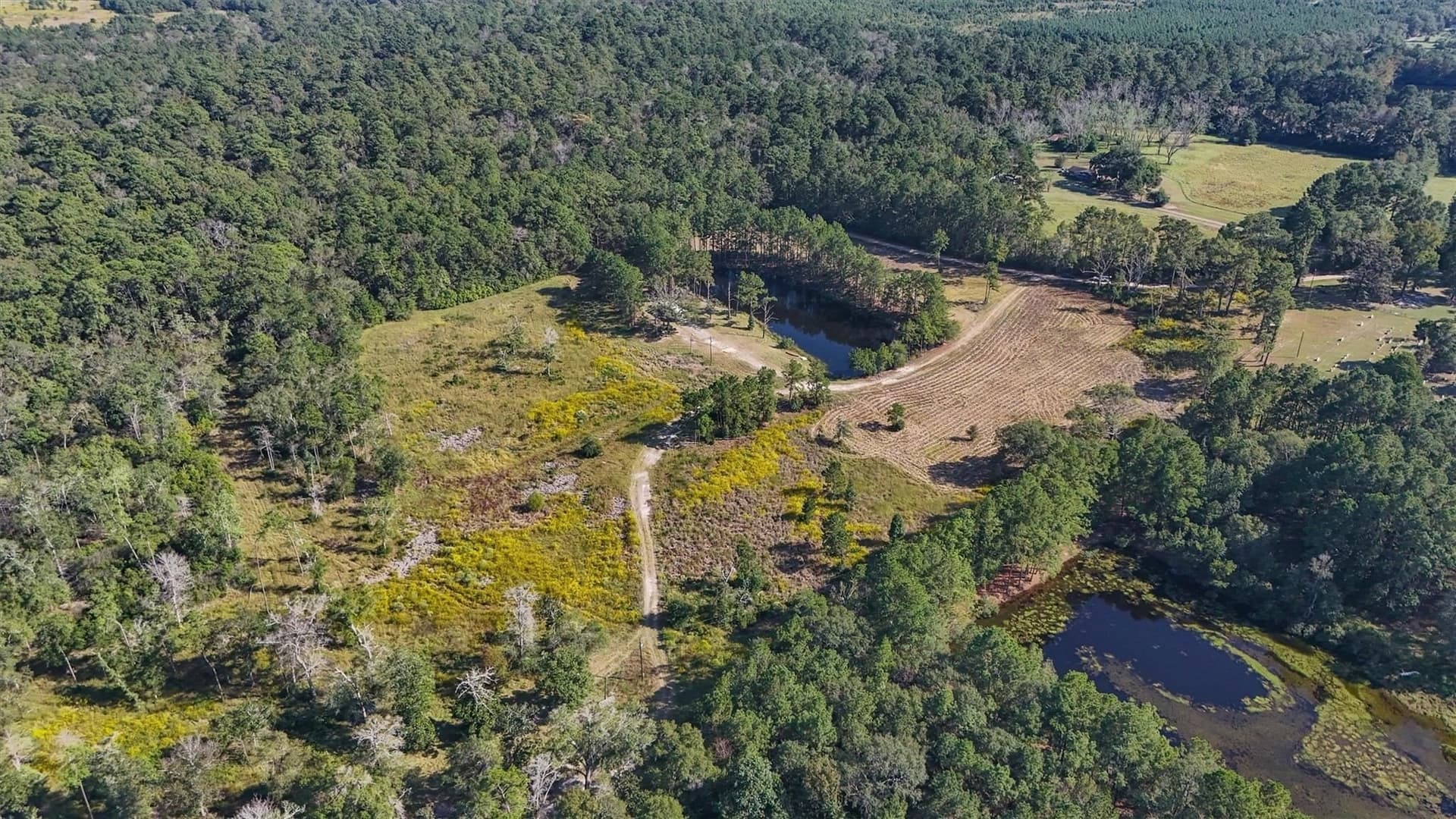 58.96 acres in Hardin County gallery image 2