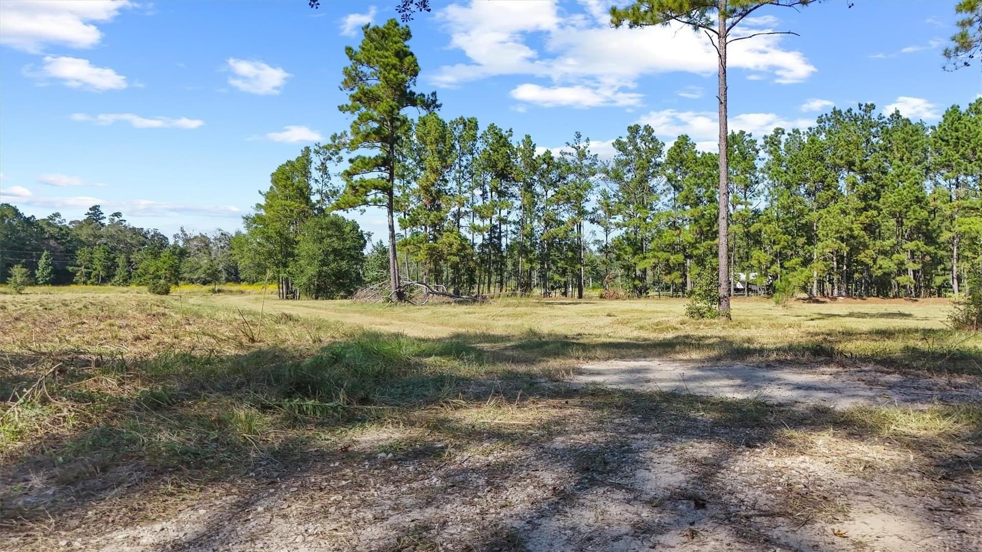 58.96 acres in Hardin County gallery image 4