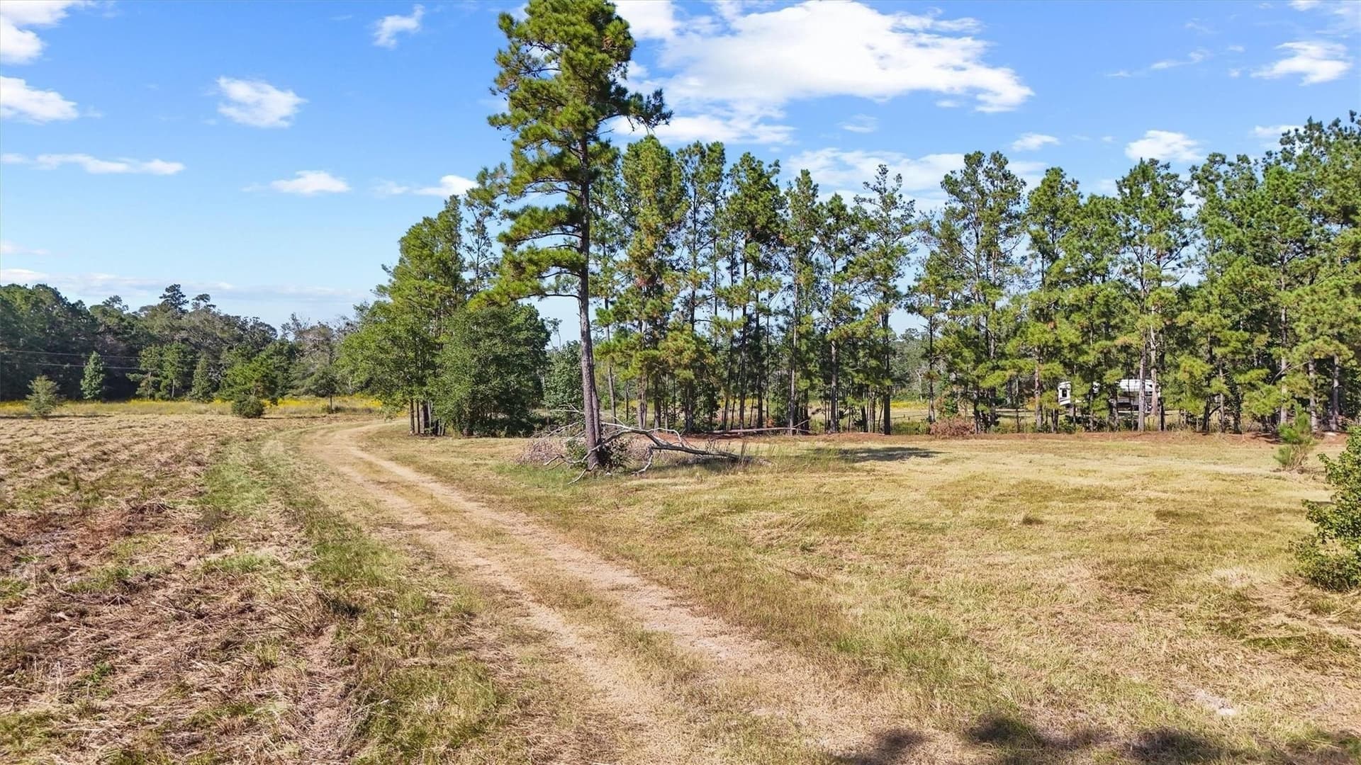 58.96 acres in Hardin County gallery image 3