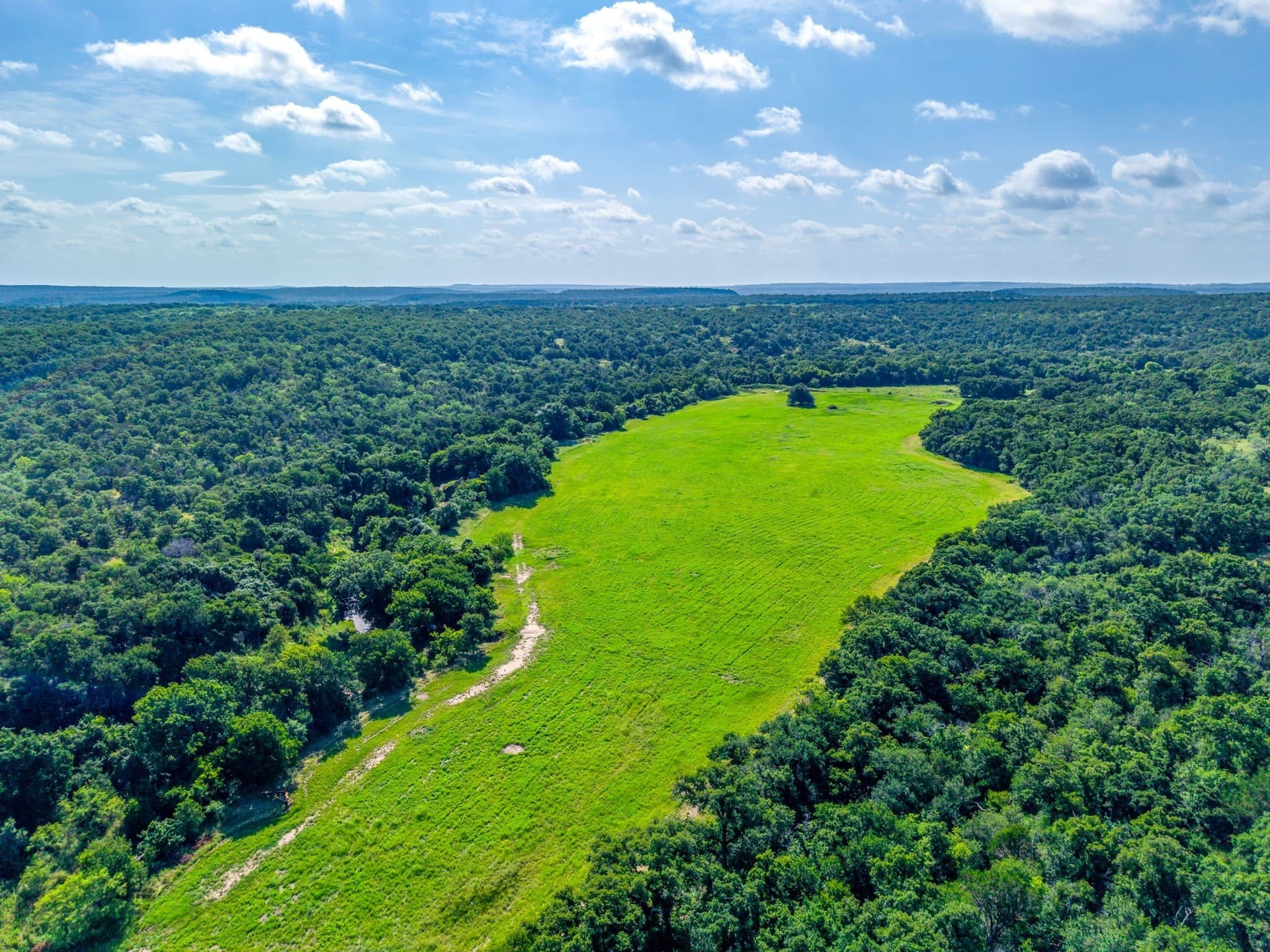 224.97 acres in Erath County - photo 6