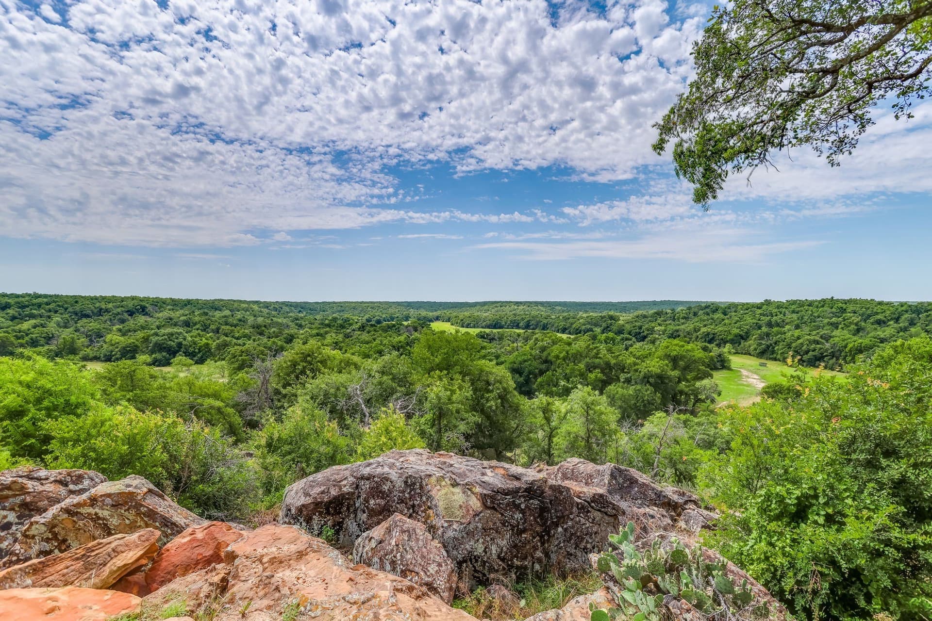 224.97 acres in Erath County - photo 38