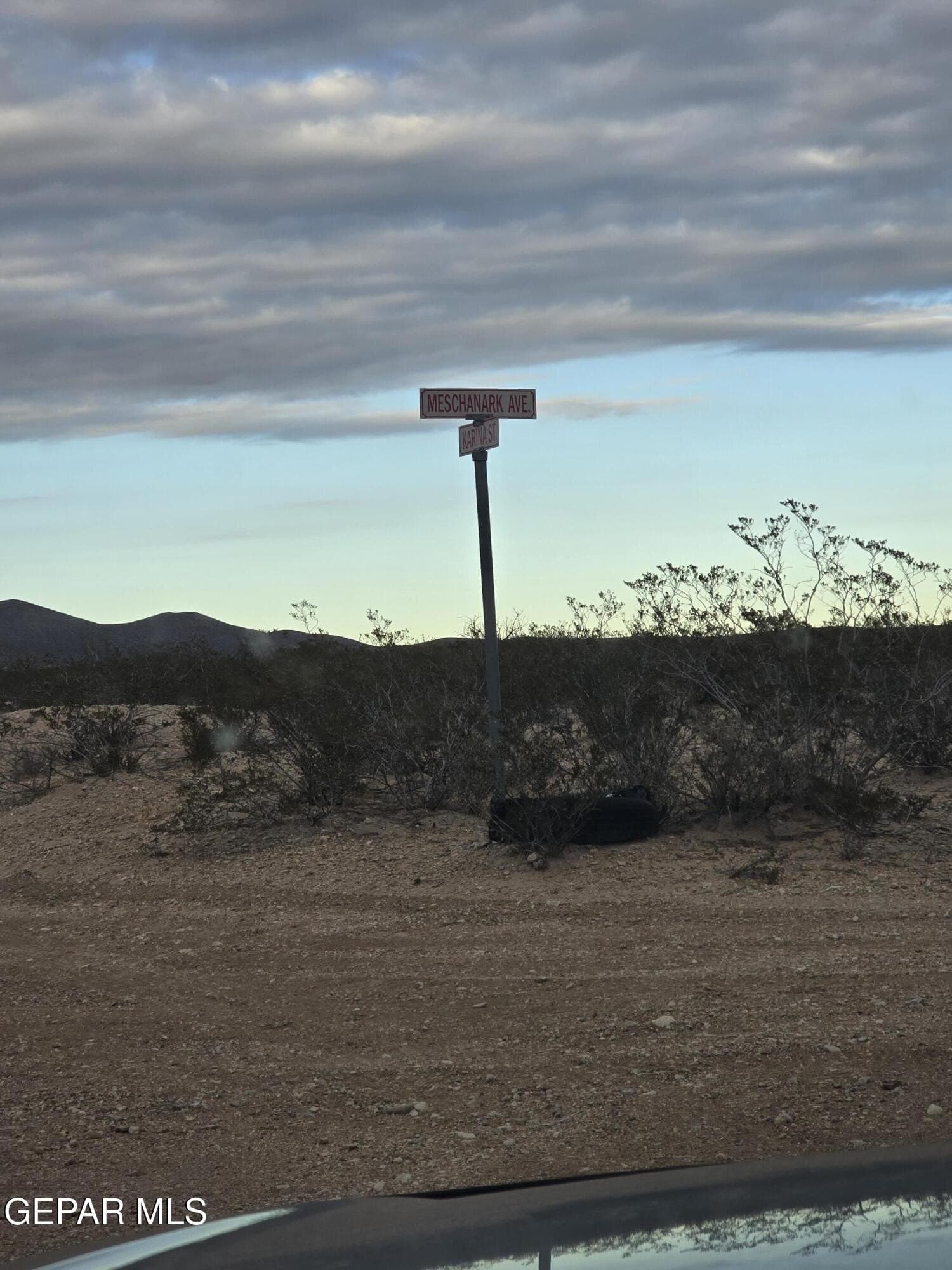 20.25 acres in Hudspeth County gallery image 2