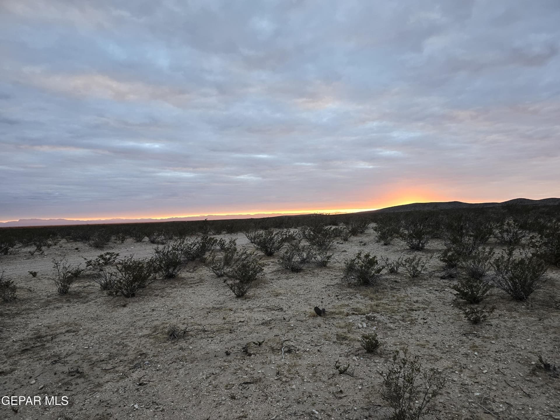 20.25 acres in Hudspeth County featured view